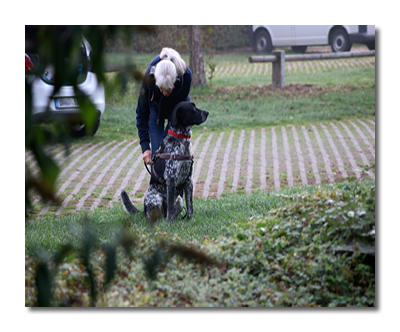 dog 4574460 1280 bearbeiten